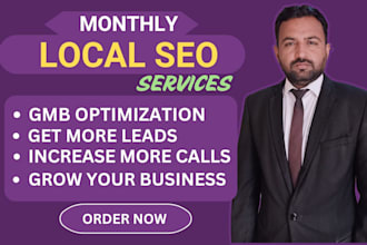 do monthly local seo and gmb optimization,listing for top google ranking