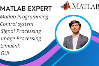 do matlab programming image ,signal processing and simulink
