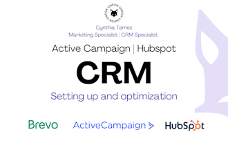 set up active campaign or hubspot workflows as CRM expert