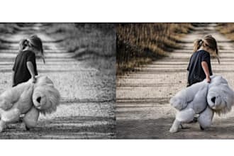 restore old photos with color