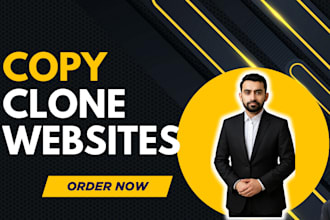 design clone copy or duplicate wordpress website by elementor pro