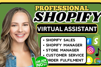 be shopify virtual assistant do shopify marketing boost shopify sales