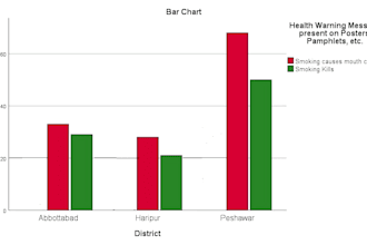 do spss and excel data analysis with professional reports