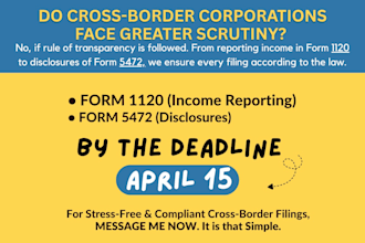 prepare 1065, 1120, and 1120s US tax returns