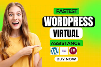 be your efficient wordpress virtual assistant for content upload and SEO tasks