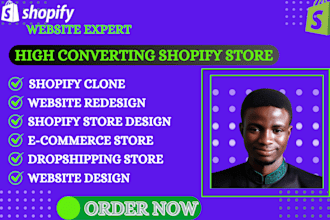 clone audit and review your website, shopify automation
