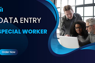 provide accurate data entry services