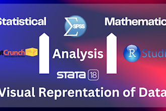 professionally do mathematical and statistical analysis