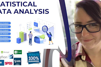 do business statistics, statistical data analysis through spss, stata, r, excel
