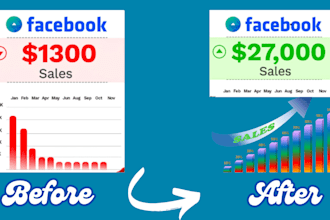 be your facebook, instagram ads and social media expert