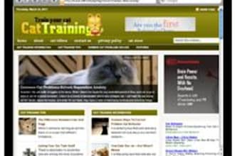 give you a Niche Wordpress Blog script about CAT training