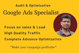 workout google PPC ads, audit and optimization specialist for better result