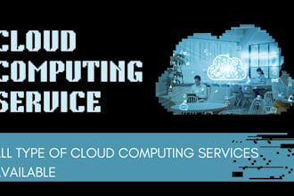 provide expert cloud computing services