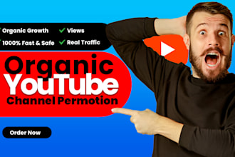 do USA youtube promotion organic channel promotion for real growth