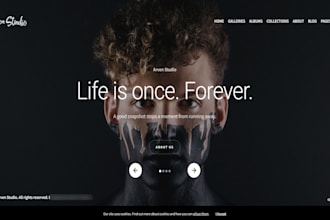 build art gallery website, photography and business portfolio website