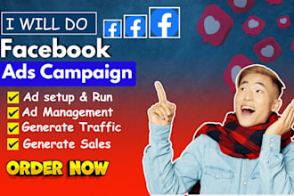 run targeted fb and ig ad campaigns