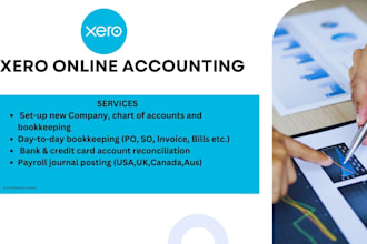 do reconciliation, bookkeeping, profit and loss and balance sheet using  xero