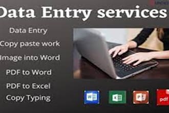 do excel data entry, web scraping, copy paste, file conversion