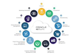 be an expert netsuite erp consultant for your business