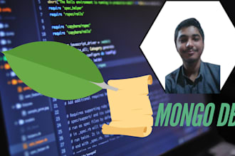 do mongodb projects , database modeling and complex queries