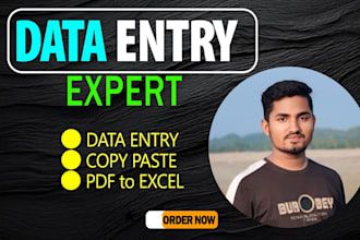 do data entry job, data typing, collecting and copy paste work