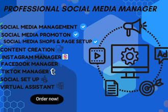 professional social media manager instagram facebook tiktok growth content