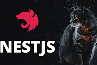 do full stack web application development using reactjs and nestjs