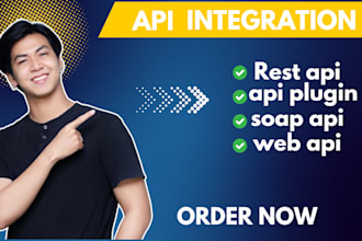 do custom apis or integrate in wordpress node or react php plaid api api plugin