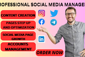 be your social media manager, social media promotional, content creator