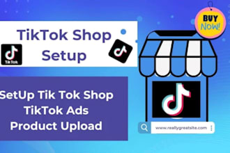 set up tiktok shop, facebook shop, instagram shop, google shop, tiktok ads