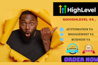 be you go highlevel VA ghl virtual assistant go highlevel CRM VA dubsado clickup