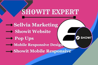 design showit website, ecwid, pop up, wix ecommerce, dropshipping store