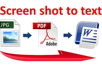 convert PDF to word, scanned image to word or google docs, typing services