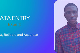 do any kind of data entry work