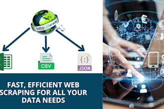 do python web scraping, data scraping from any website