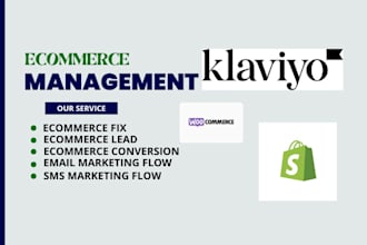 setup ecommerce lead conversion fix management email sms marketing flow klaviyo