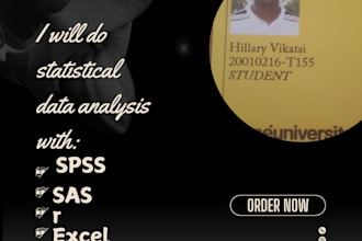 do statistical data analysis with spss, sas, r, or excel