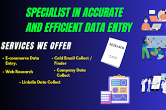 specialist in accurate and efficient data entry