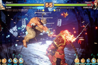 develop 3d fighting game, 3d street fighting game, 3d multiplayer fighting game