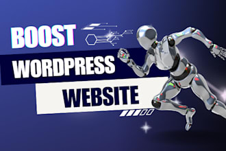 do wordpress performance optimization and improve google pagespeed insights
