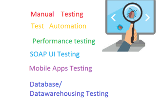 do software testing or quality assurance