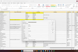 do excel data entry for you