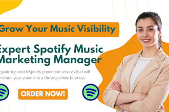 do spotify music promotion or spotify promotion through ads campaign
