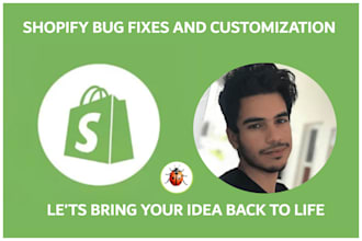 do shopify custom coding or bug fixing and customization