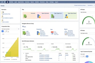 develop netsuite CRM app, web app, payroll system, ineventory management app