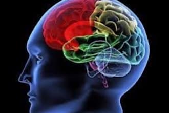 do healing sessions to improve your memory