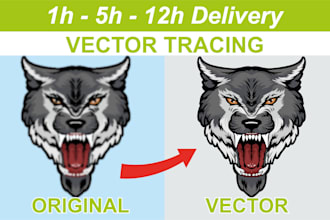 redraw, recreate, trace, convert vector any logo or image quickly
