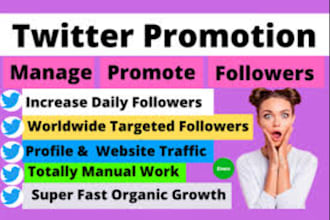shoutout promote twitter share website link to 90m USA UK ig yt tiktok audience