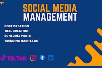 be your social media speacialist in cheap price
