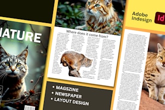 do digital and printable magazine, newspaper layout design